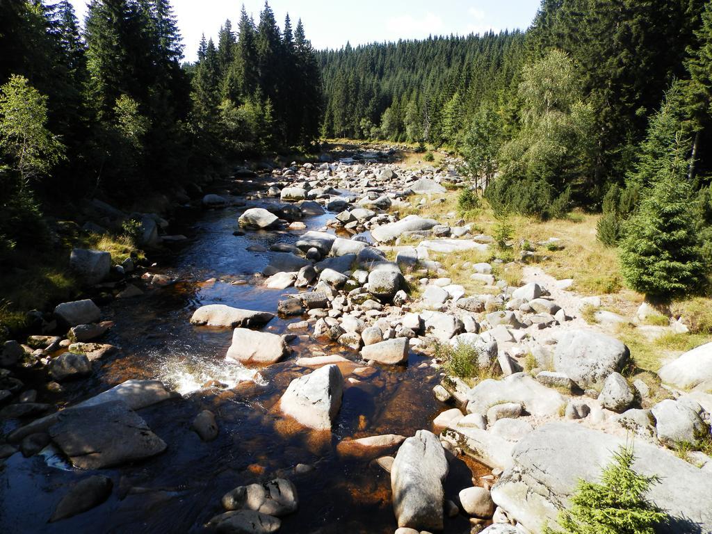 Penzion Podlesi Kořenov Eksteriør billede